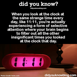 did-you-kno:  When you look at the clock at the same strange time every day, like 11:11, you’re actually experiencing a form of selective attention where your brain begins to filter out all the other insignificant times you looked at the clock that