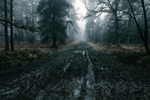 darkface:Track (by milouvision)