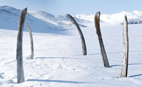coolthingoftheday: Archaeologists believe that the Whale Bone Alley of   Yttygran Island, Siberia  was built as a shrine and sacred meeting place by the Inuit in the 14th century. At the time, there was a temporary Ice Age that resulted in a prolonged
