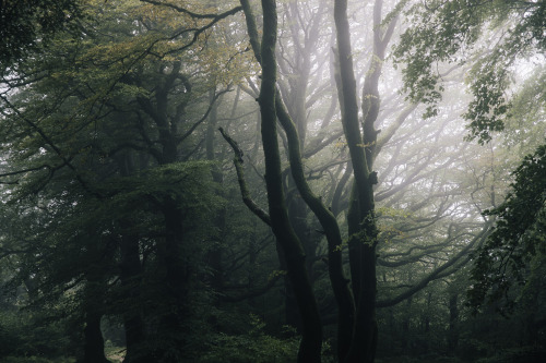 ardley:19th Aug 2020As today is World Photography Day, I braved the delightfully torrential weather 