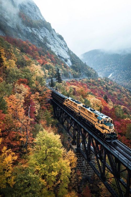 J-K-I-Ng:  “Wild Moments In The White Mountains“ By | Lewis Hackett