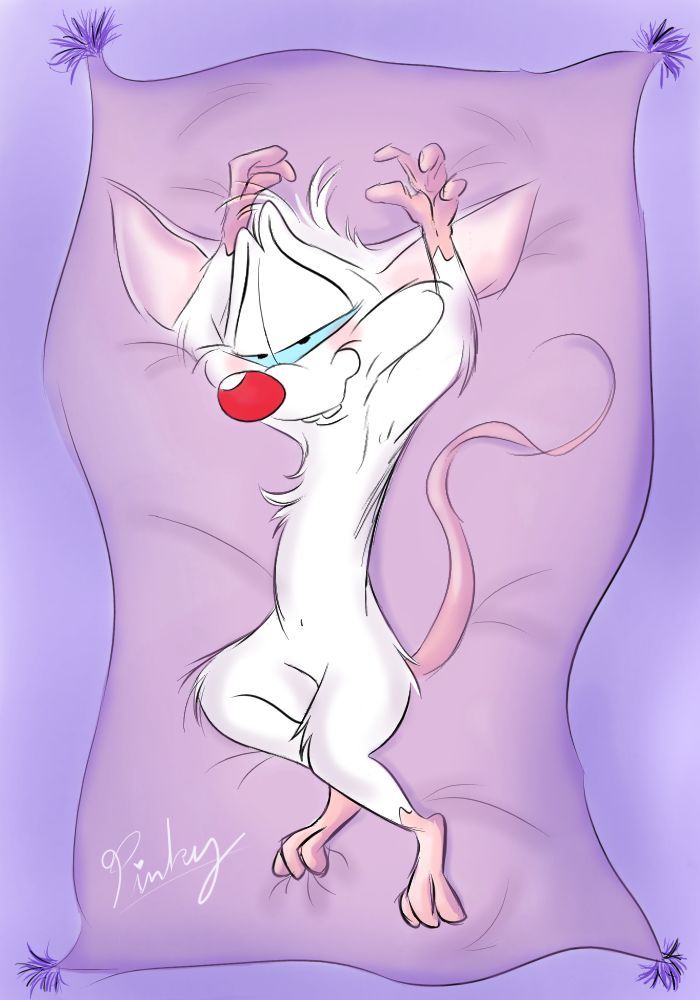 You know what? Screw the haters. Wasn’t gonna post up Pinky dakimakura, but if you can’t handle it then you can’t handle 