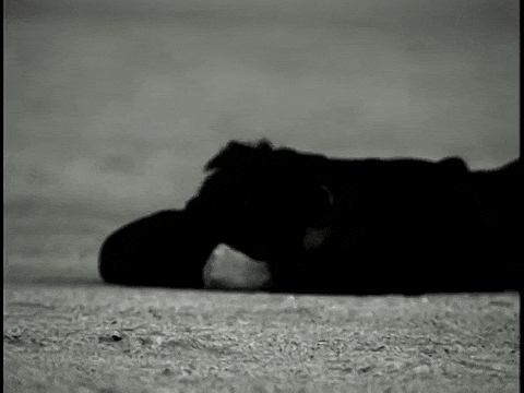 Awake To The Sound As They Peel Apart The Skin. They Pick And They Pull, Trying To Get Their Fingers