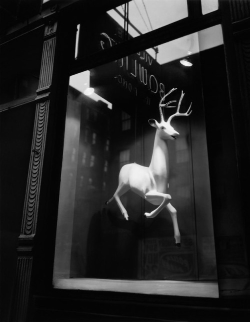 casadabiqueira:Designer’s Window, Bleecker Street, New York Berenice Abbott, 1947