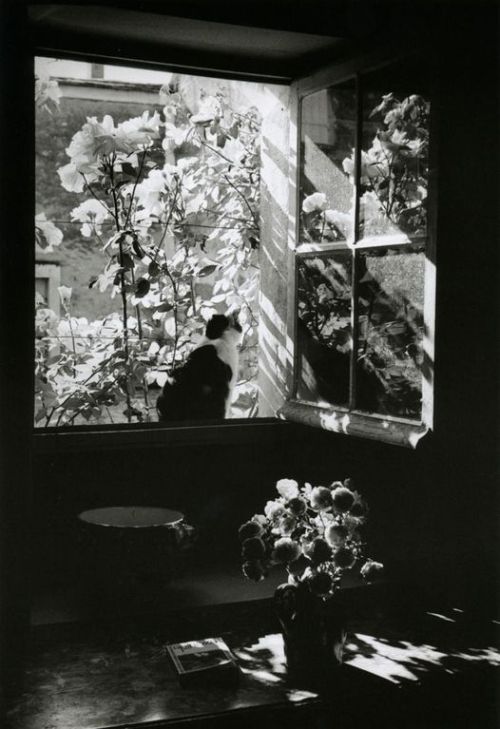 Edouard Boubat, Stanislas à la fenêtre, France, 1973 Nudes &amp; Noises  