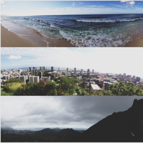 fallers:  oahu 