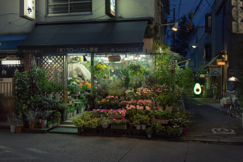 mattdreamsneon:Harajuku, Tokyo