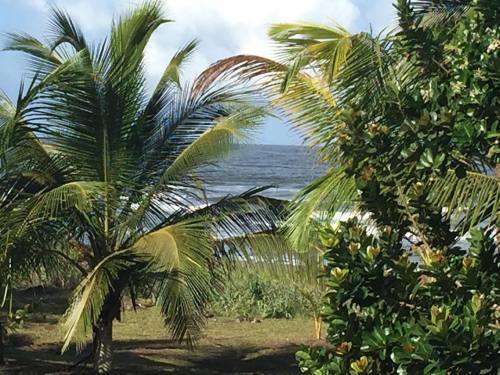 claudiadogger:View from the jungle. #costarica #ocean #jungle #view #nature #adventure(bij Costa Ric