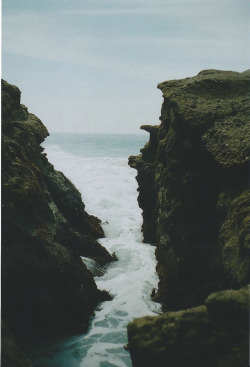 brutalgeneration:  Scan 25 (by natcatwil)