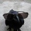 miniature-crow
