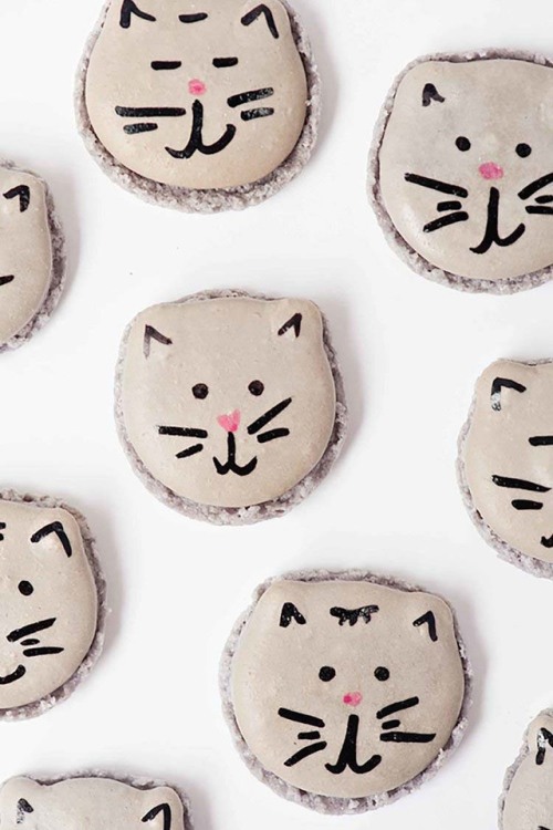 atmeal012:www.sprinklesforbreakfast.com/kitten-macarons.php