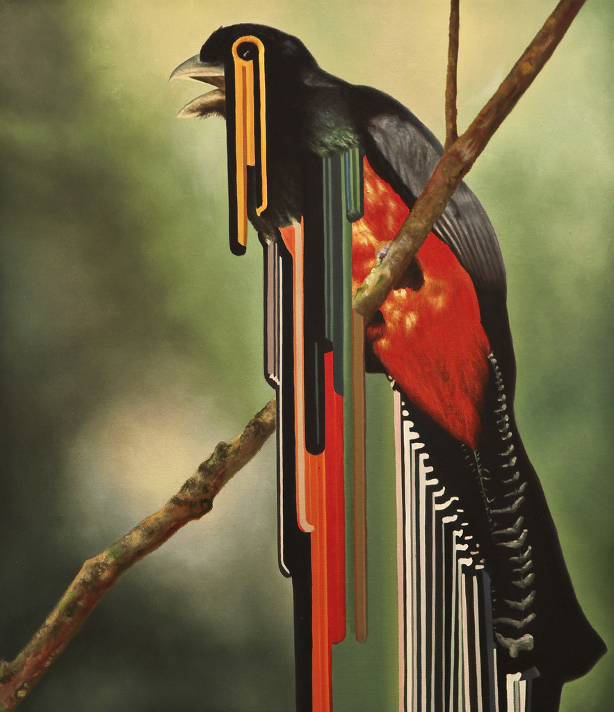 likeafieldmouse:  Maurizio Bongiovanni - Bird Rib Paintings (2010) 