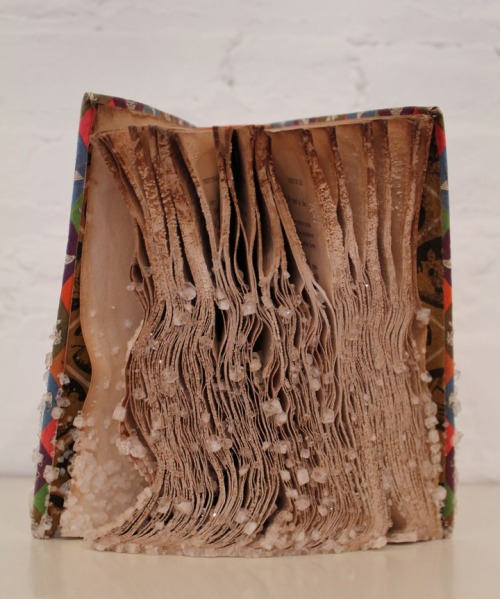 razorshapes:  Alexis Arnold Crystalised Books (2011) - Borax crystals       Alexis Arnold is a sculptor and installation artist interested in the visual displays of time and history. Objects have their own life cycles of accumulation and decomposition.