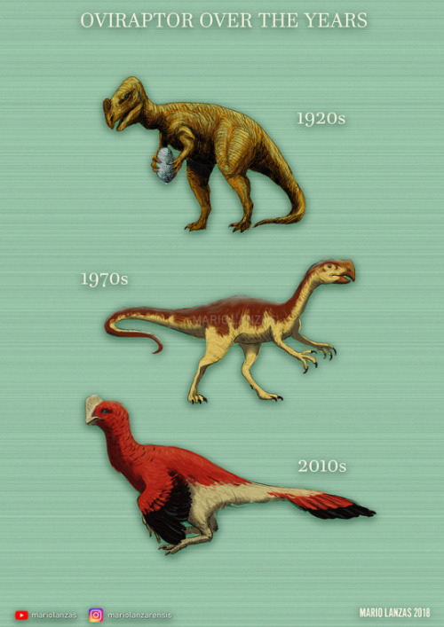neil-gaiman: mariolanzas: DINOSAURS OVER THE YEARSThis is a series of posters I made to show how our