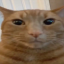 thicch0las