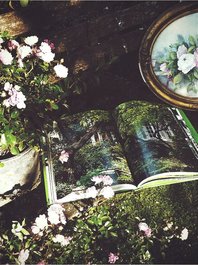 fandom-whore-wardrobe:  Alice in Wonderland’s forest 