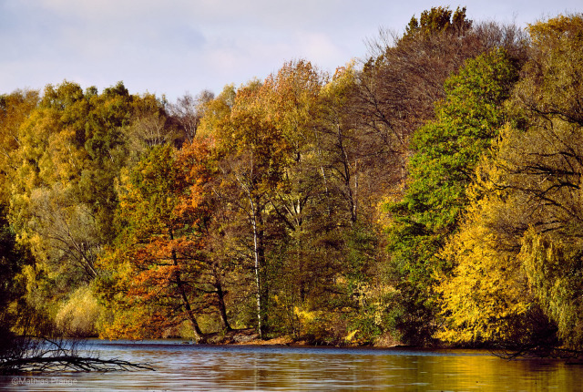 View over the lake