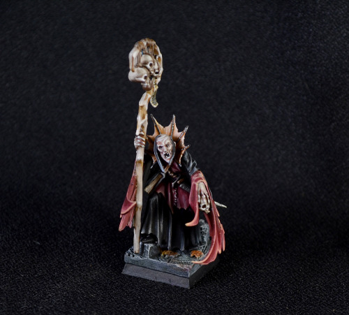 Vampire Counts Necromancer. Had lots of fun coming up with a good red recipe, and thanks to a health