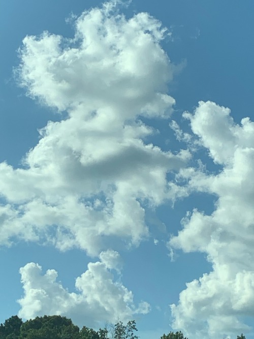 Cloud Shapes!