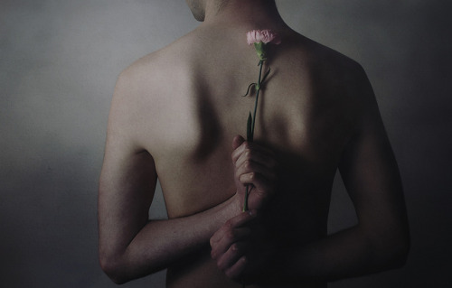 Porn Pics Broken Flower by Andrea Peipe 