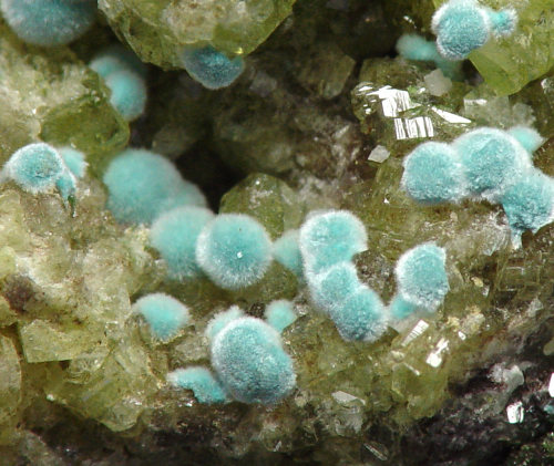 Plancheite on white Willemite with green Duftite crystals - Tsumeb Mine, Otavi Highlands, Namibia