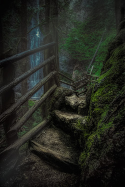 thepictorialist:  Watch your step—Marymere Falls, Olympic National Forest, WA 2008