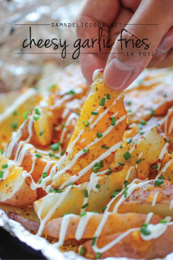 do-not-touch-my-food:  Cheesy Garlic Fries