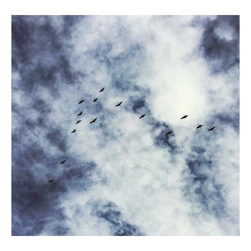 Look up #fridaymorning #marblesky #fly #blackandwhite