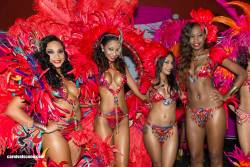 CARNIVAL'S FINEST