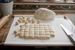 renunciares:  follow the blog I reblogged this from 