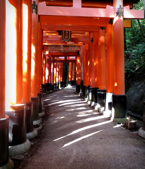 Na in het noorden van Kyoto te hebben gereisd zijn we in het zuiden naar Fushimi Inari Taisha g