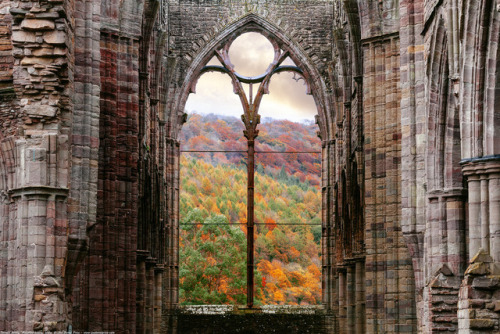 silvaris: Window Tintern Abbey Tintern Monmouthshire Wales by Joe Daniel Price