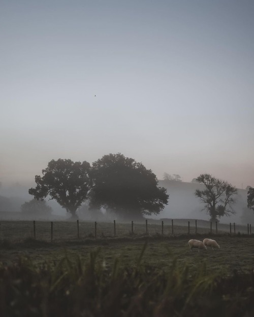 Instagram | Thewildwoodmoth