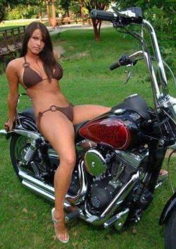 nitaino1:  Biker Chicks