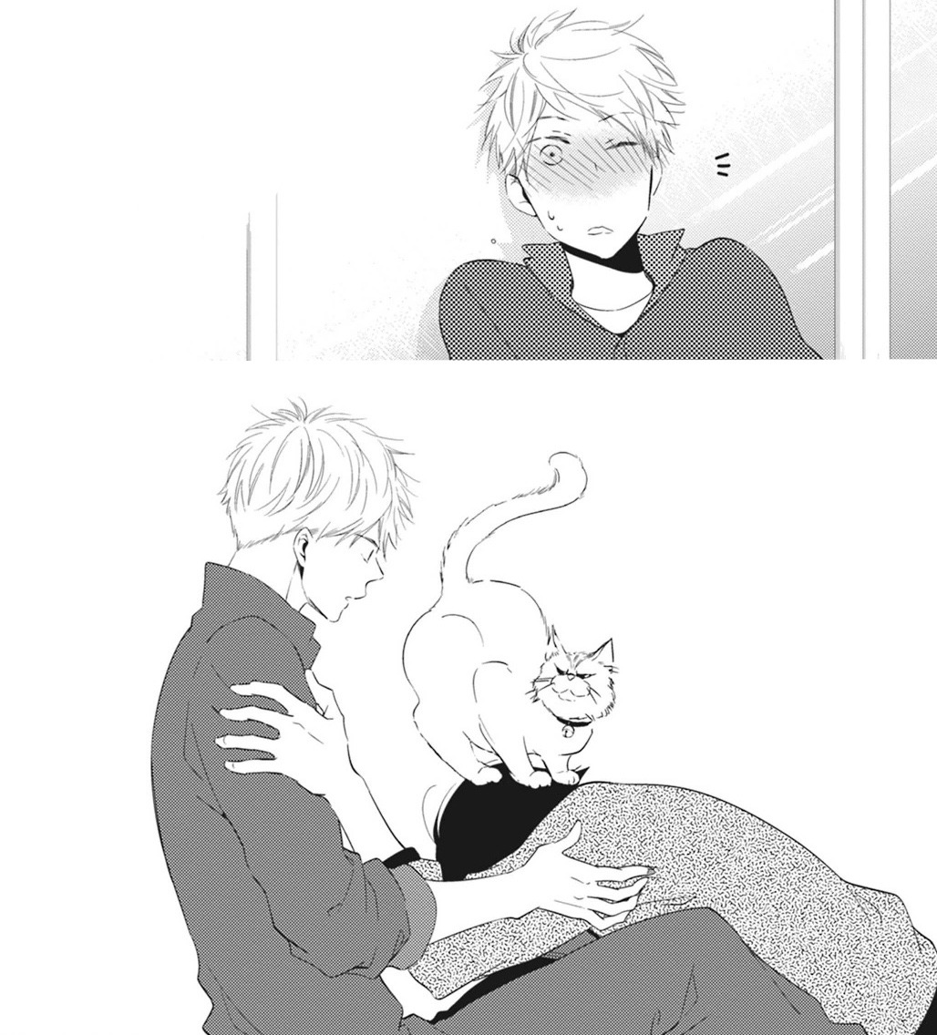 i've moved to dreamcatss