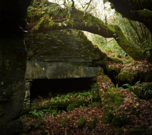 mydododied: Smithy hearth