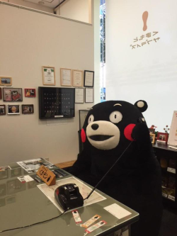 kumamonfan:  moshi moshi kumamon desu 