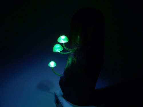 indirispeaks:mymodernmet:Creative LED Lights Mimicking Mushrooms Turn Any Room into a Magical Forest