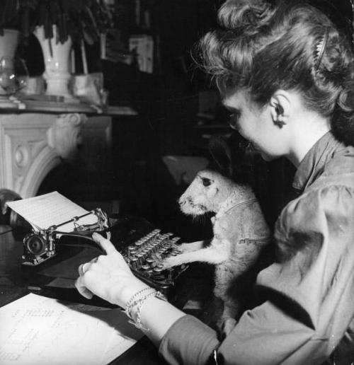 vintagemarlene: kangaroo typist, 1955 (www.vintag.es)