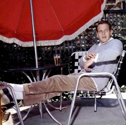 pierppasolini:  Paul Newman photographed adult photos