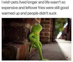 thegingerpowers: The wisdom of Kermit….