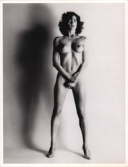 jimlovesart:  Helmut Newton - III, IV, V, VII, VIII, IX, XV, &amp; XVIII from the Big Nude series, 1980-1993.  