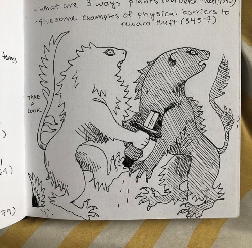 fernscare:I’ve been continuing to draw ugly lions of oscillating quality in my notes