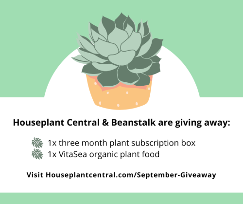  It’s GIVEAWAY time! Enter here  https://houseplantcentral.com/september-giveaway/Exciting! It