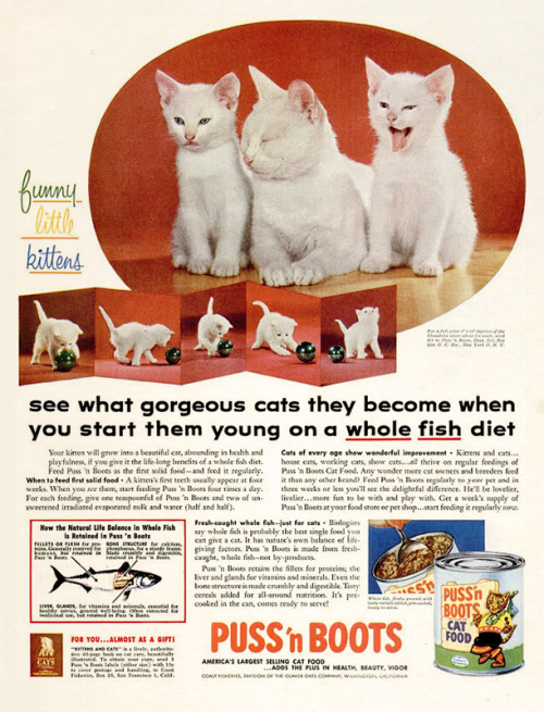 Puss ‘n Boots, 1955