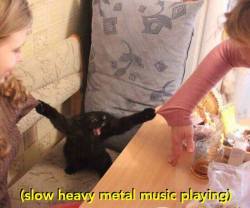 catsbeaversandducks:  Via Slow Heavy Metal Music Playing 