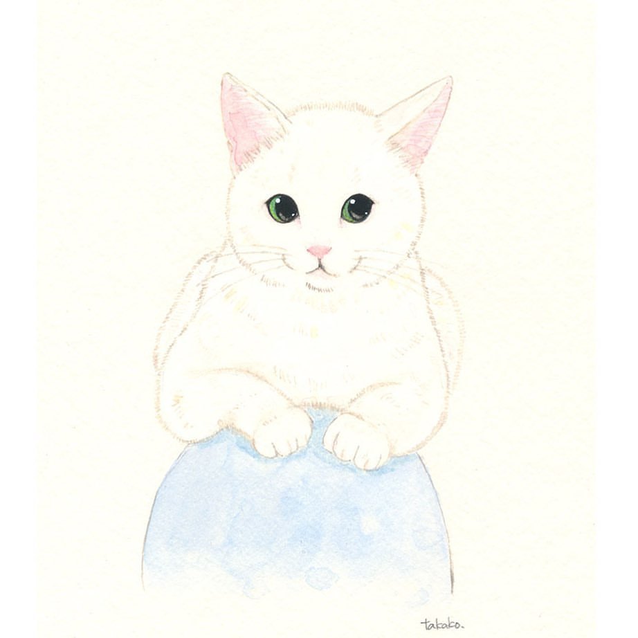 Takako Ide Illustration 久しぶりの新作です 白猫さん 家の人を観察中 本日の猫 白猫 猫イラスト