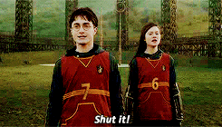 ginnxweasley:  Harry Potter + “would you please shut the f*ck up?” - Bonus: 
