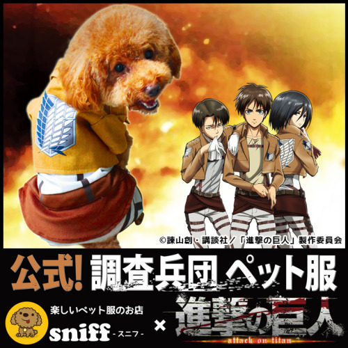 Rakuten has opened pre-orders for limited edition Shingeki no Kyojin-themed dog apparel, as part of the Snk x sniff collaboration!Reservation Period: August 17th - November 4th, 2015Release Date: Early November 2015Retail Prices:Survey Corps Cape -