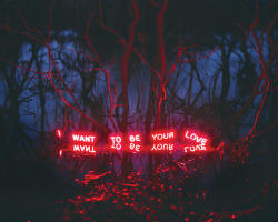 Jung Lee.â I Want To Be Your Love.â 2012.